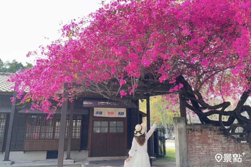 （圖／ariel_apple419）