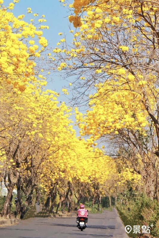 （圖／sunny_8069）