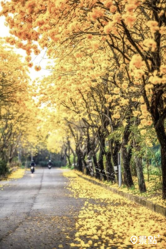 （圖／chien_lan）