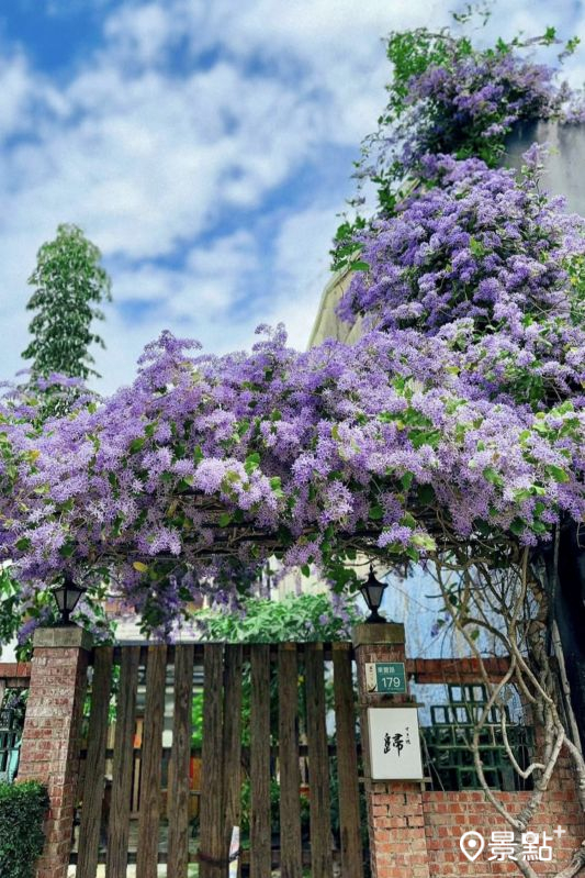 （圖／rainbow925cat，以下同）