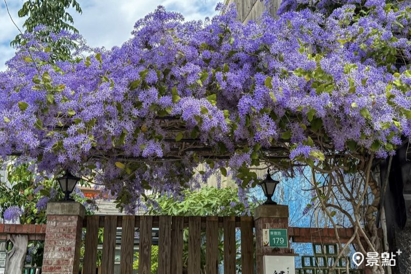 （圖／rainbow925cat）