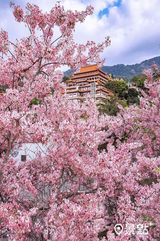 （圖／molly888666）