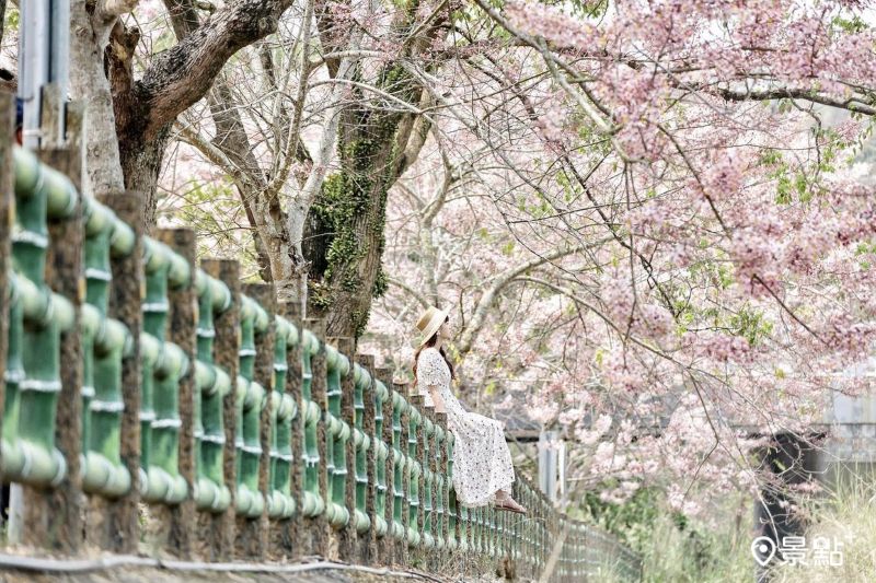 （圖／qqsweet1982，以下同）