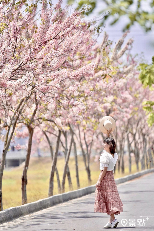 （圖／laiyuping9520）