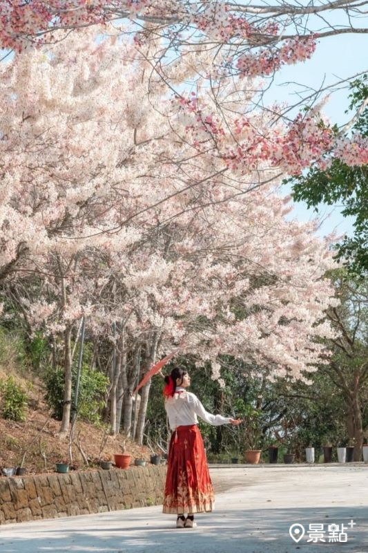 （圖／double.leo.tw，以下同）