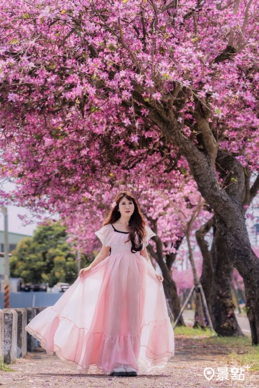 （圖／molly888666，以下同）