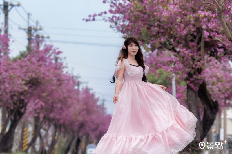 （圖／molly888666，以下同）