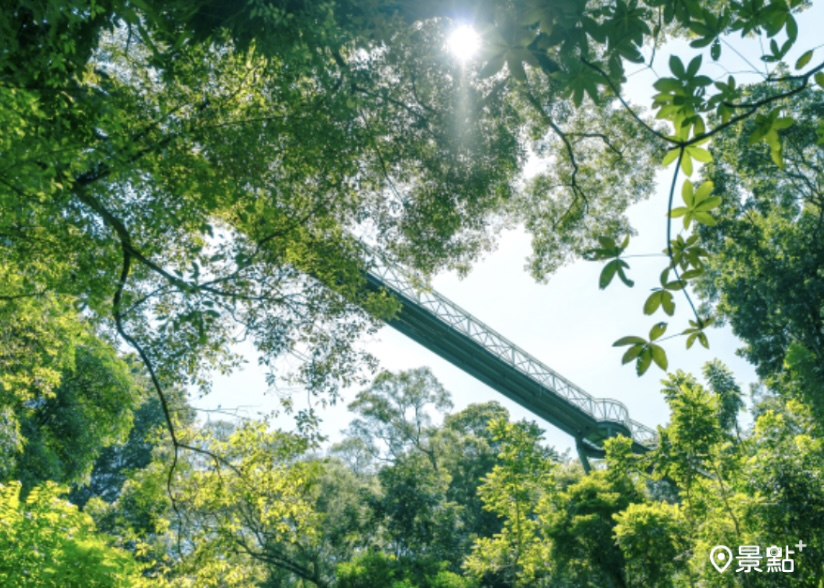  圖 / 嘉義縣竹崎鄉公所