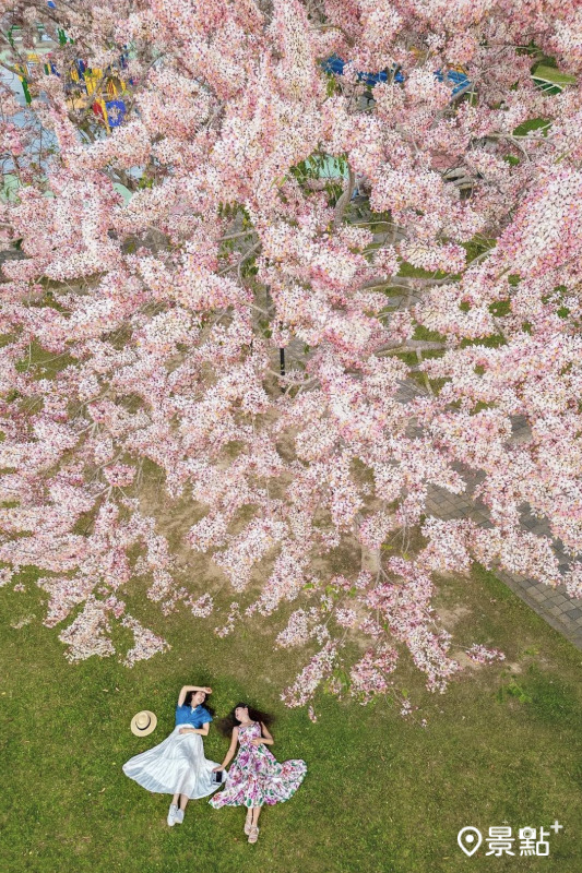 （圖／molly888666）