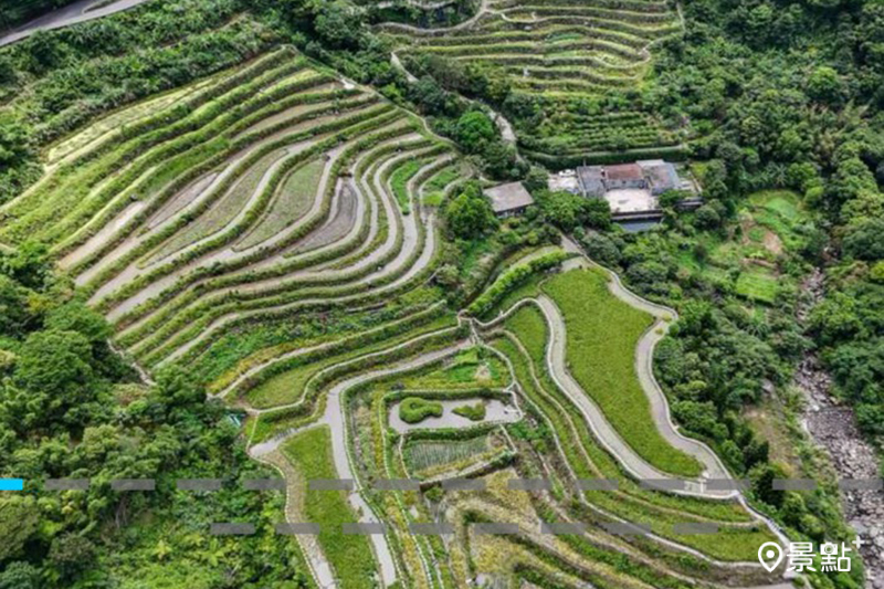 (圖/新北市政府)