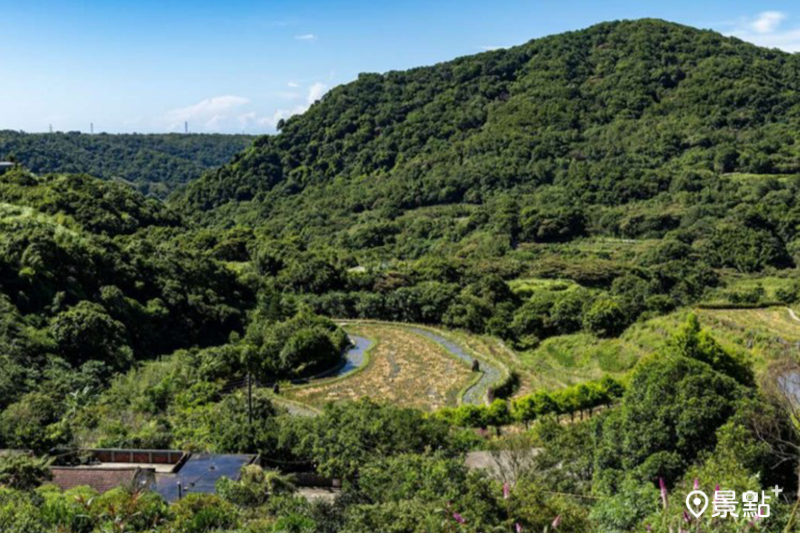 （圖／新北市政府）