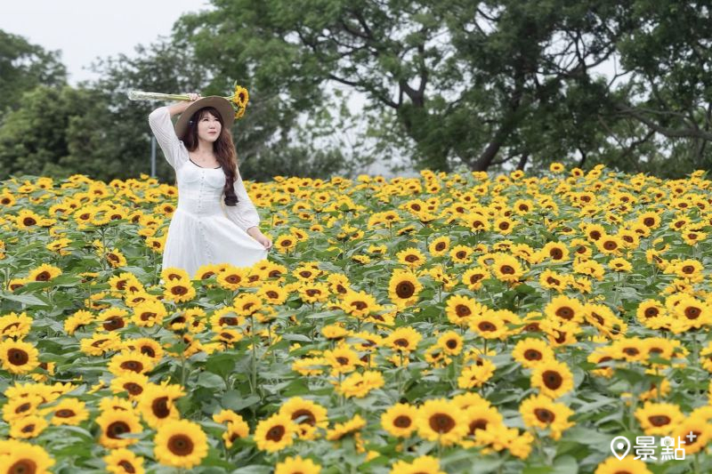 (圖/molly888666)