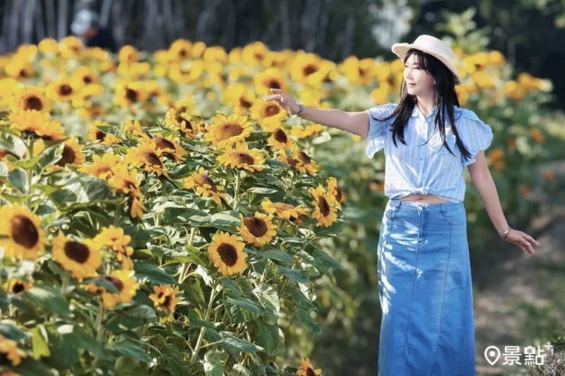 （圖／yishan1128） 