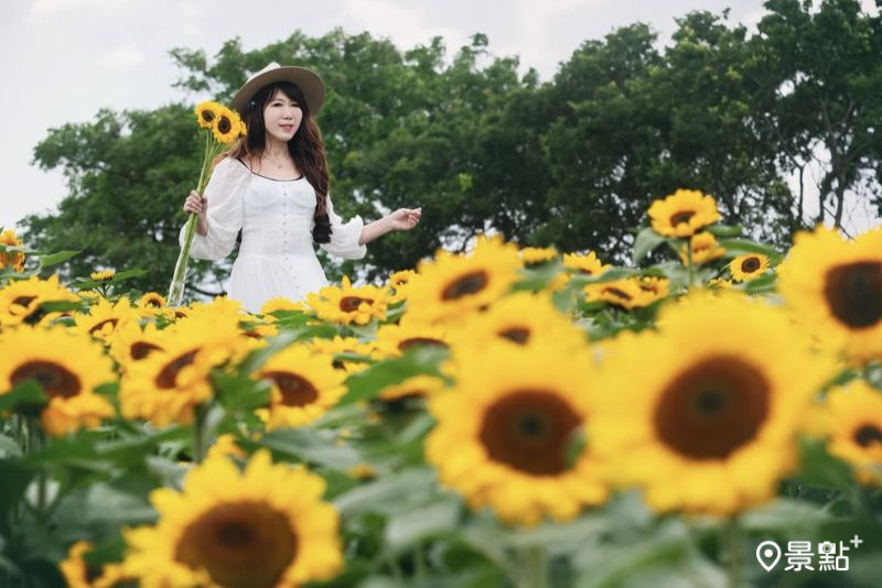 （圖／molly888666） 