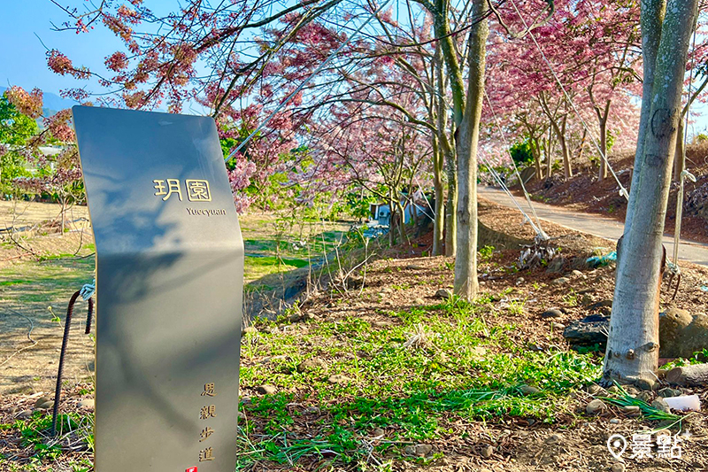(圖/玉井藍鳥山花旗木 玥園 思親步道)