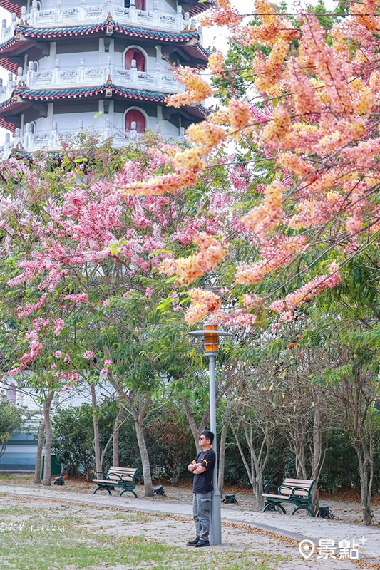 （圖／shih_hsuan6260）