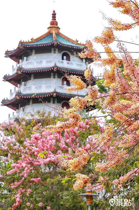 （圖／shih_hsuan6260）