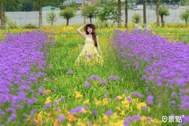 (圖/molly888666)