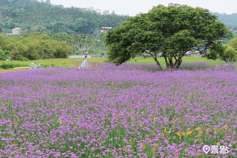 （圖／tsotso_1206，以下同）