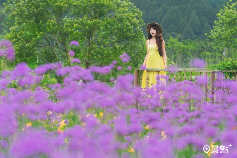 （圖／molly888666）