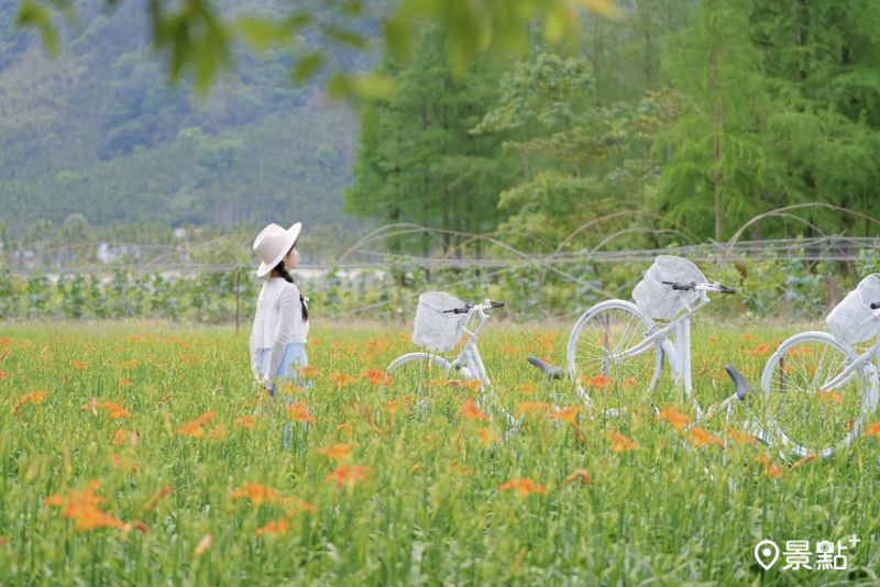 （圖／tsotso_1206）