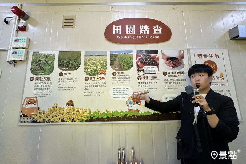 黃金蕎麥探索館館內人員導覽介紹蕎麥的種植、運用方式。（圖／景點+ 張盈盈，以下同）