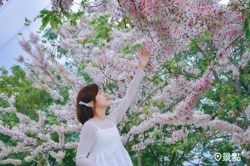 （圖 / an700328，以下同）