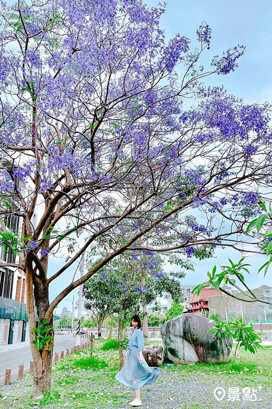 （圖／littlestar0202）