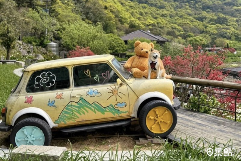 （圖／momo201438，以下同）