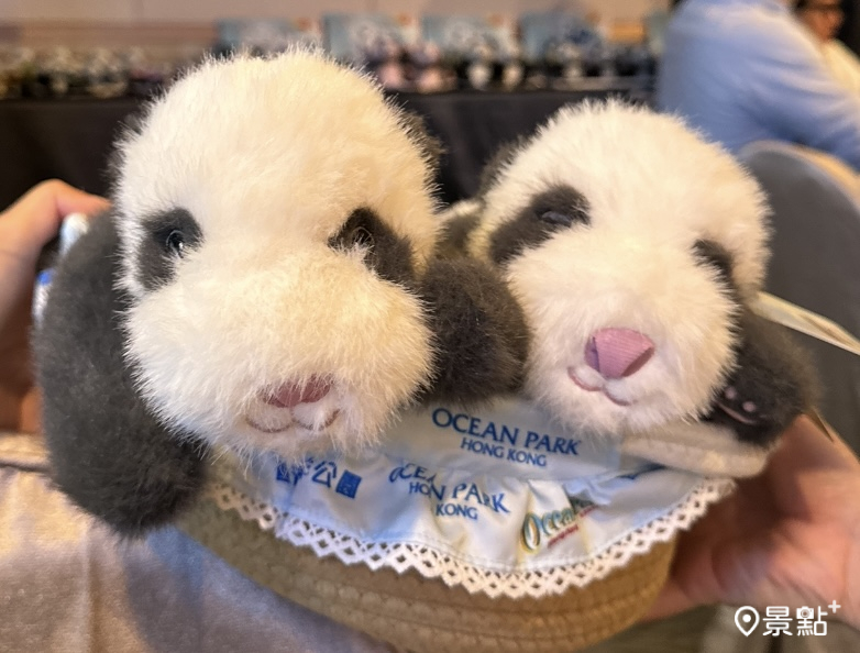 非常可愛的龍鳳胎熊貓寶寶玩偶,玩偶為活動式可離開籐籃,模樣相當萌。(圖/景點+ 張盈盈)