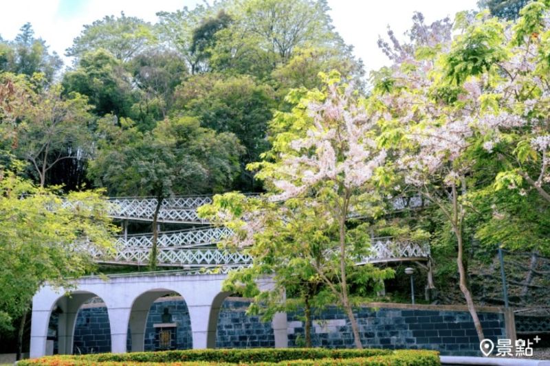 （圖／嘉義縣竹崎鄉公所）