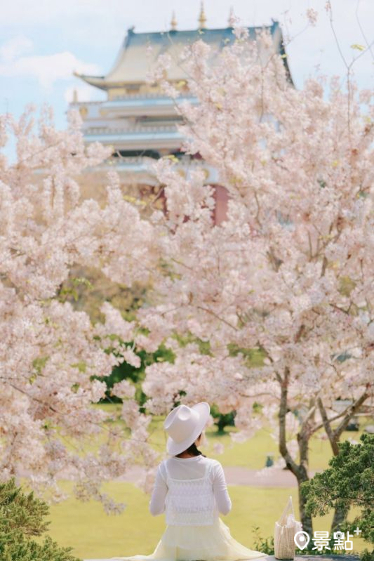 於2025年4月27日拍攝的噶瑪噶居寺花旗木美景。(圖/tsotso_1206,以下同)