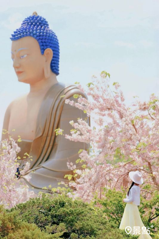 （圖／tsotso_1206，以下同）