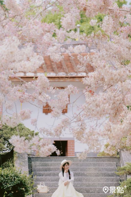 （圖／tsotso_1206，以下同）