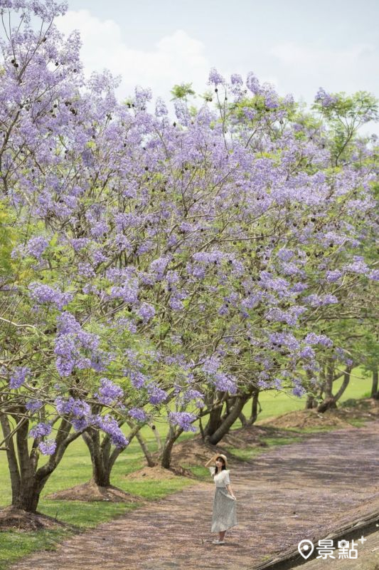 （圖／pierrehuang）