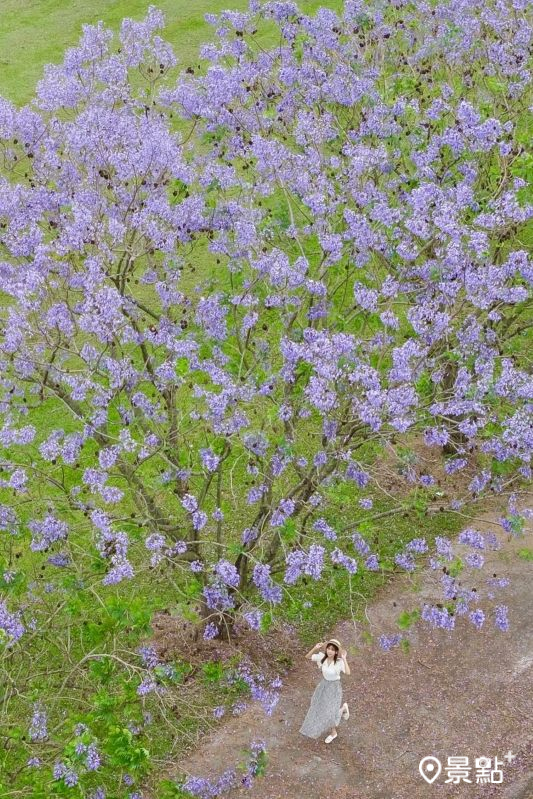 （圖／pierrehuang）