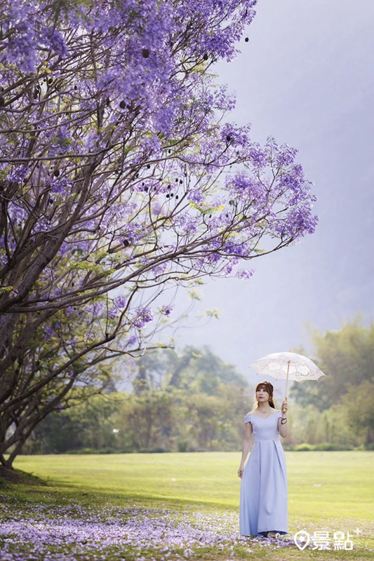 （圖／apple690523，以下同）