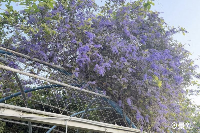 （圖／ariel_apple419）