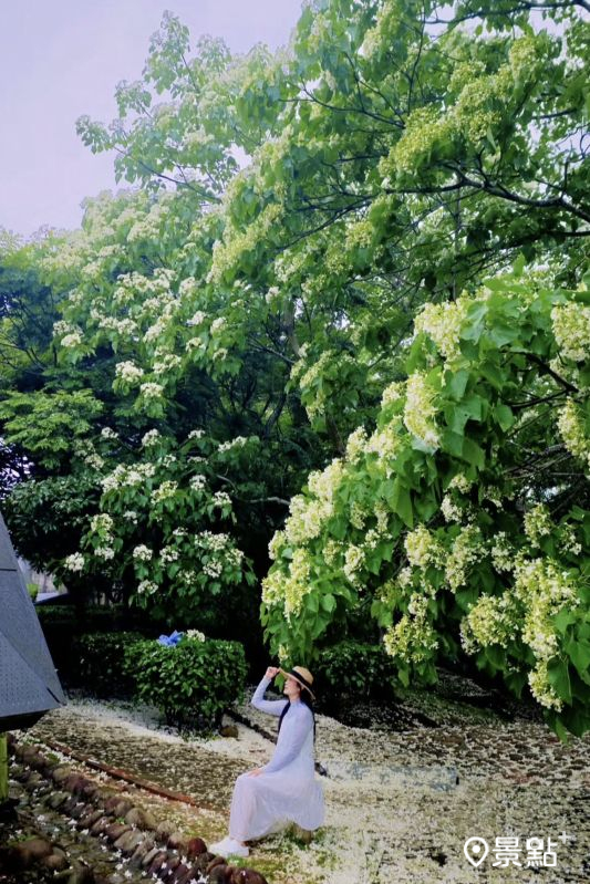 （圖／ada_00170）