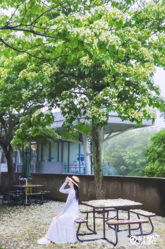 （圖／ada_00170，以下同）