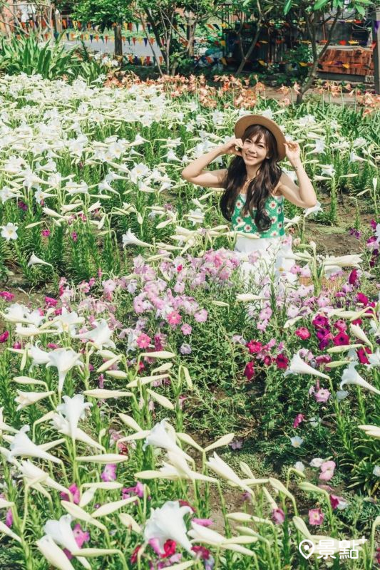 （圖／roger030517，以下同）