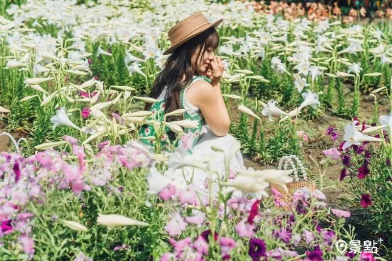 （圖／roger030517，以下同）