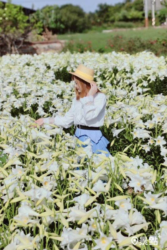 （圖／summer6639）