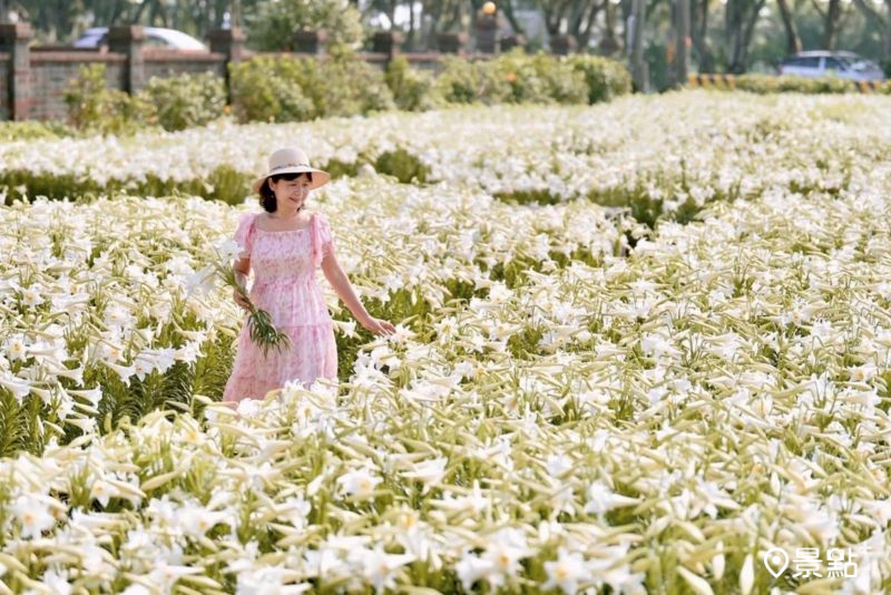 （圖／laiyuping9520）