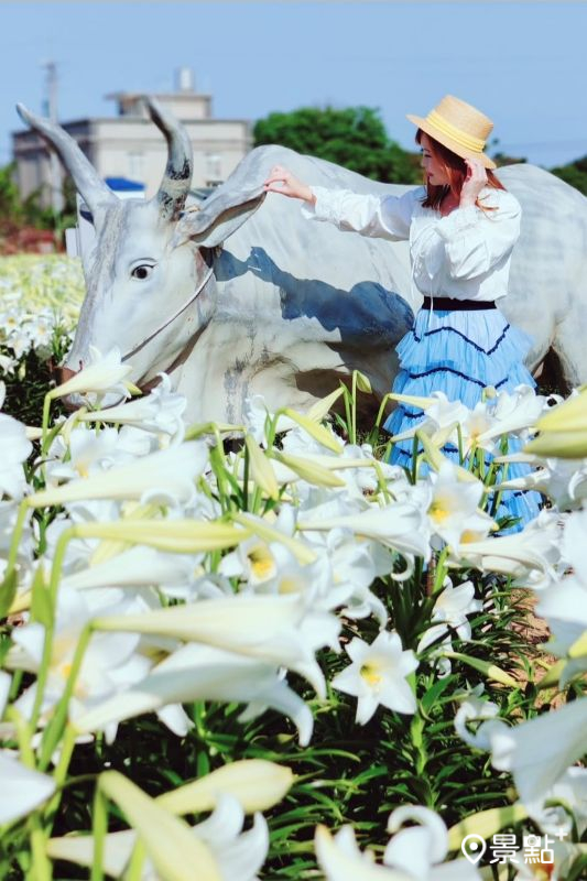 （圖／summer6639）