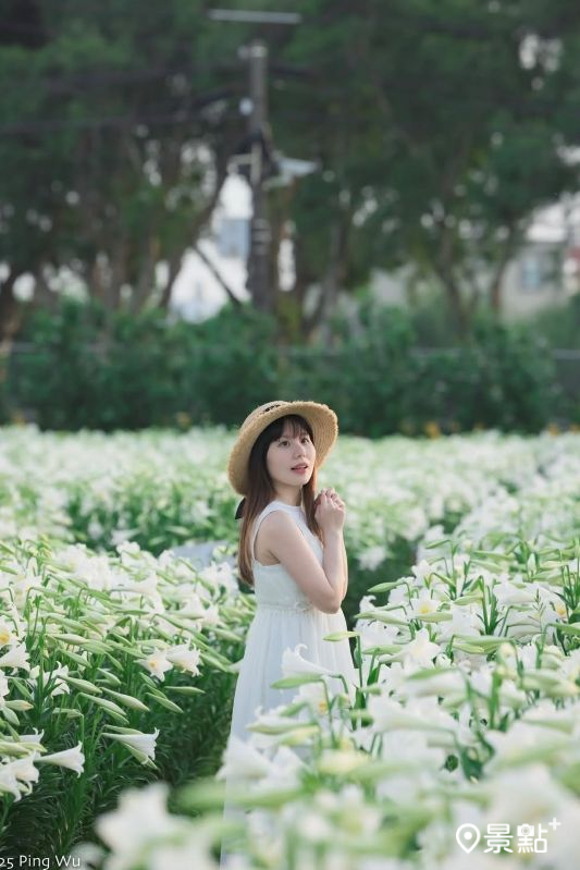 （圖／tw.papago319）