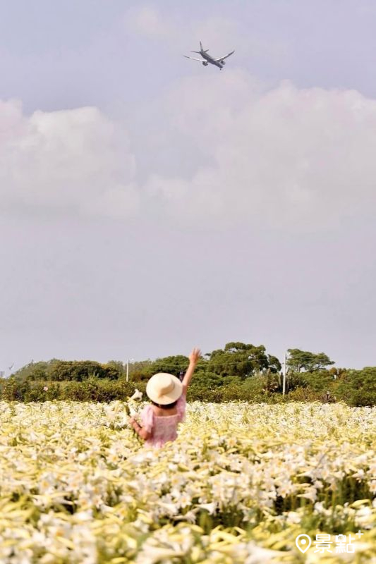 （圖／laiyuping9520）