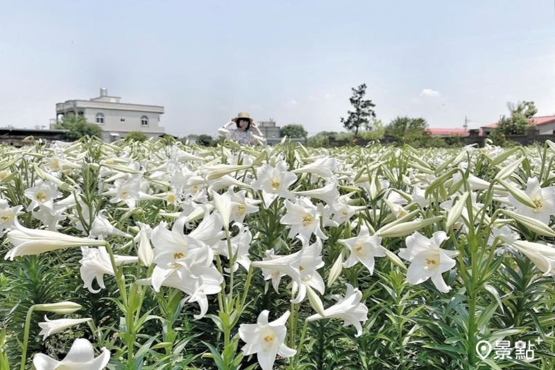 （圖／iam__bi__bi）