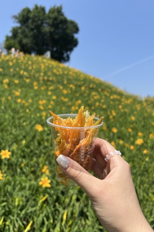 炸金針花 。(圖/參山國家風景管理處,以下同)