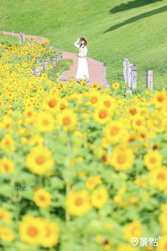 (圖/shih_hsuan6260)